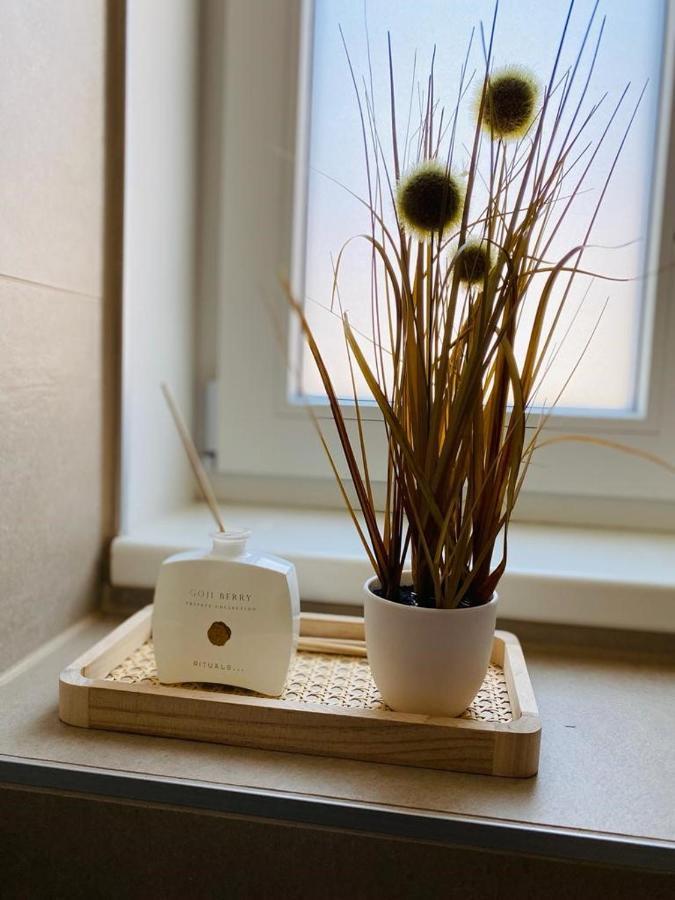 Vinestia Cityloft Storchenblick, Non-Serviced Appartement 莱布尼茨 外观 照片