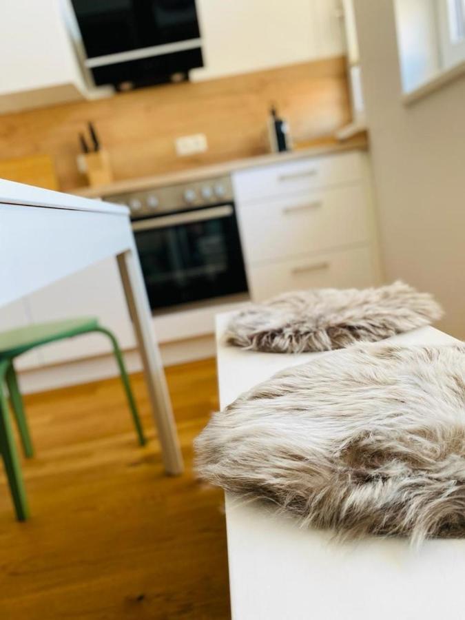Vinestia Cityloft Storchenblick, Non-Serviced Appartement 莱布尼茨 外观 照片